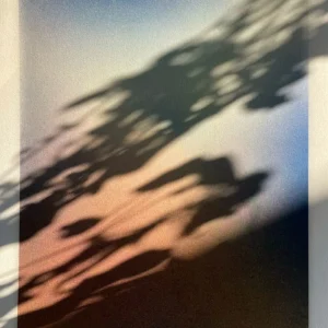 Milio - Nightfall / T2